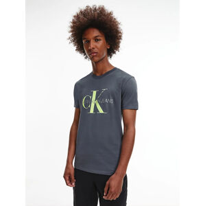 Calvin Klein pánské šedé tričko - S (PCK)
